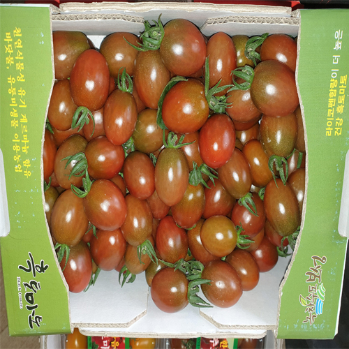 [한마음 토마토 연구회] 한마음 대추토마토 3kg