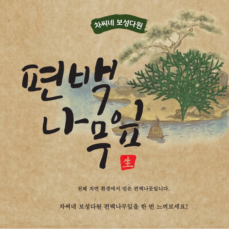 [차씨네 보성다원] 편백나무잎 1kg